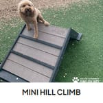 View Mini Hill Climb