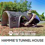 View Hammie's Tunnel House