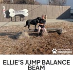 View Ellie's Jump Balance Beam