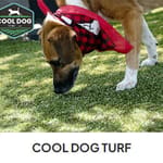 View Cool Dog Turf