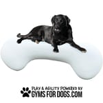 View Agility Bone