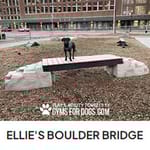 View Ellie's Boulder Bridge