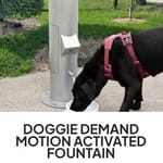 View Doggie Demand Motion Activated Fountain