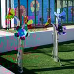 View Harmony Flowers