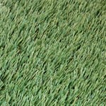 View Natural 54™ - TOP SELLER