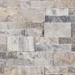 View Ledgestone: Silver