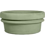 View 36" Low Roll Rim Bowl