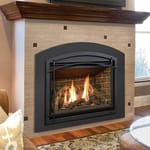 View Gas Insert: Chaska 34