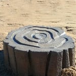 View Small Tree Stump