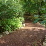 View Trails