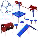 View Intermediate Course, 6 Pieces (BARK-ITKIT)
