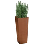 View Modern Elite Corten Steel: Tapered Planter 