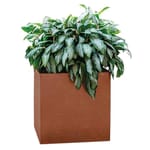 View Modern Elite Corten Steel: Cube Planter