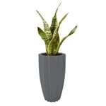 View PurePots: Tall Rippled Round Fiberglass Planter - 4405IR