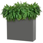 View Modern Elite: Divider Powder-Coated Aluminum Planter - 6121R