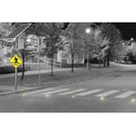 View Systems: SP-IPCS