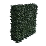 View Luxury Boxwood Hedge