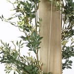 View Trailing Jasmine