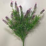 View Pink/Purple Lavender Colour Box/Finishing Foliage