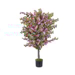View Bougainvillea 1.8m/5ft 11in UV-IFR