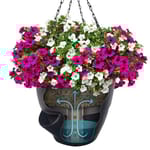 View Pro-Series 22 Self Watering Hanging Basket