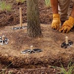 View Biodegradable Tree Stake