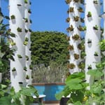 View Rooftop Farms