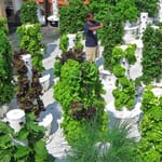 View Restaurant Farms