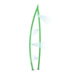View Freestanding Play Features: Morning Grass 3