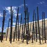 View Bamboo Jungle: 26 Posts 