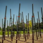 View Bamboo Jungle: 44 Posts