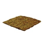 View Coconut Blanket: C400