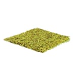 View Straw Blanket: S300
