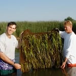 View Coir Planting Media: KoirPad™