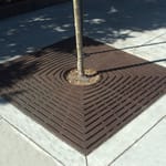 View Tree Grates: Divisadero