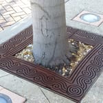 View Tree Grates: Argo