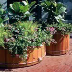 View Standard Round Planters (R)
