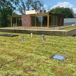 View The Purple-Roof Concept