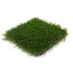 View Fescue Supreme