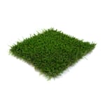 View Nature's Sod 60