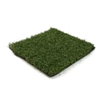 View Playground Pro