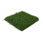 View Playscape Pro