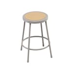 View Science Lab Stools: SCIStool