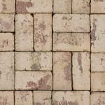 View Beechwood Blend Pavers