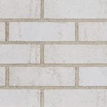 View Alaska White Dart-Tex