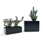 View Monoline Solid Series Planters 40 x 20