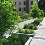 View Permavoid Bioswale Full System 