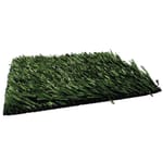 View True Grass PL53