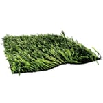 View True Grass 407-40
