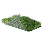 View Sassy Grass